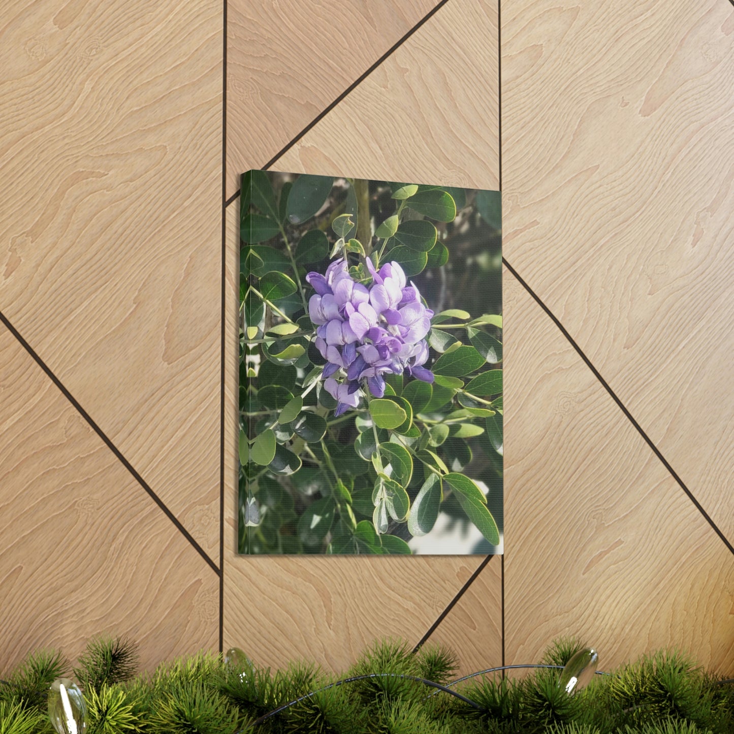 Purple Texas Mountain Laurel | Wall Art Canvas