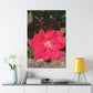 Knockout | Wall Art Print | High Bloom Collection | Life By Ortavia