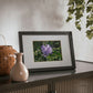 Framed Posters, Black