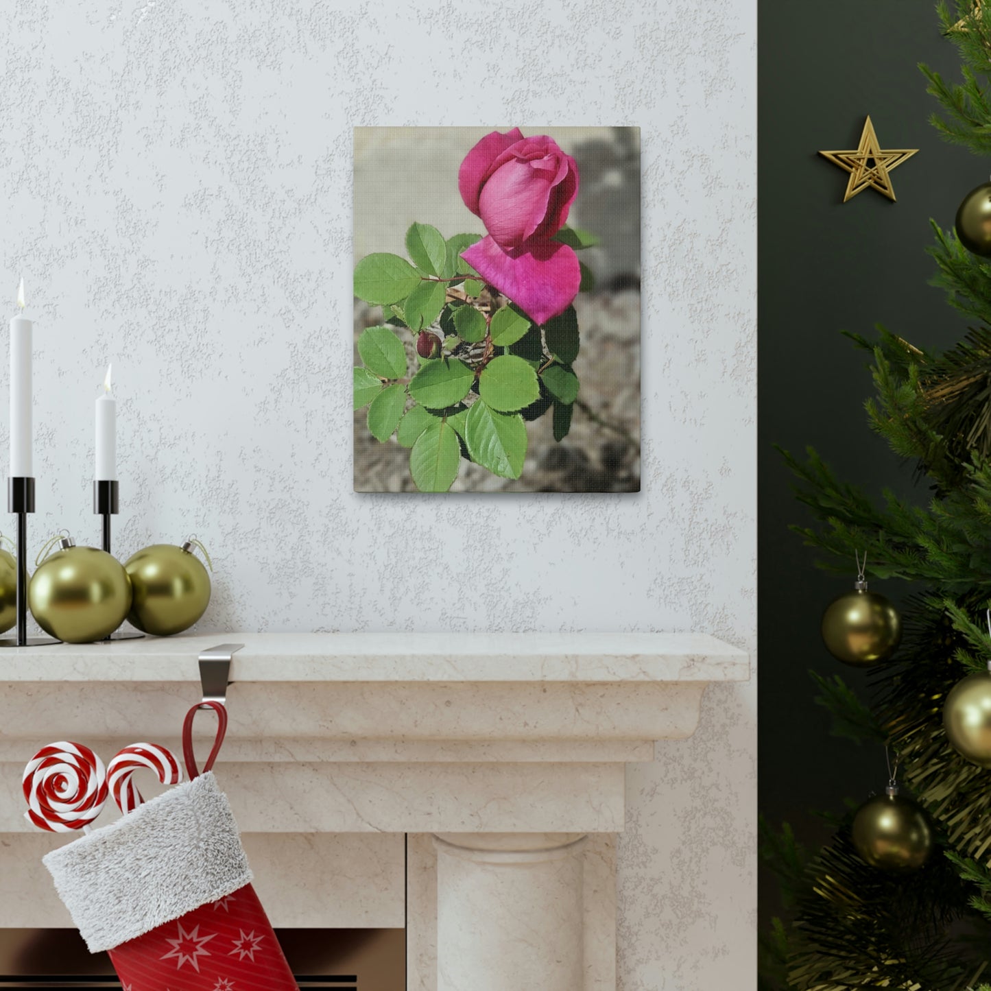 Dear Pink Rosa | High Bloom Collection | Canvas | Life By Ortavia