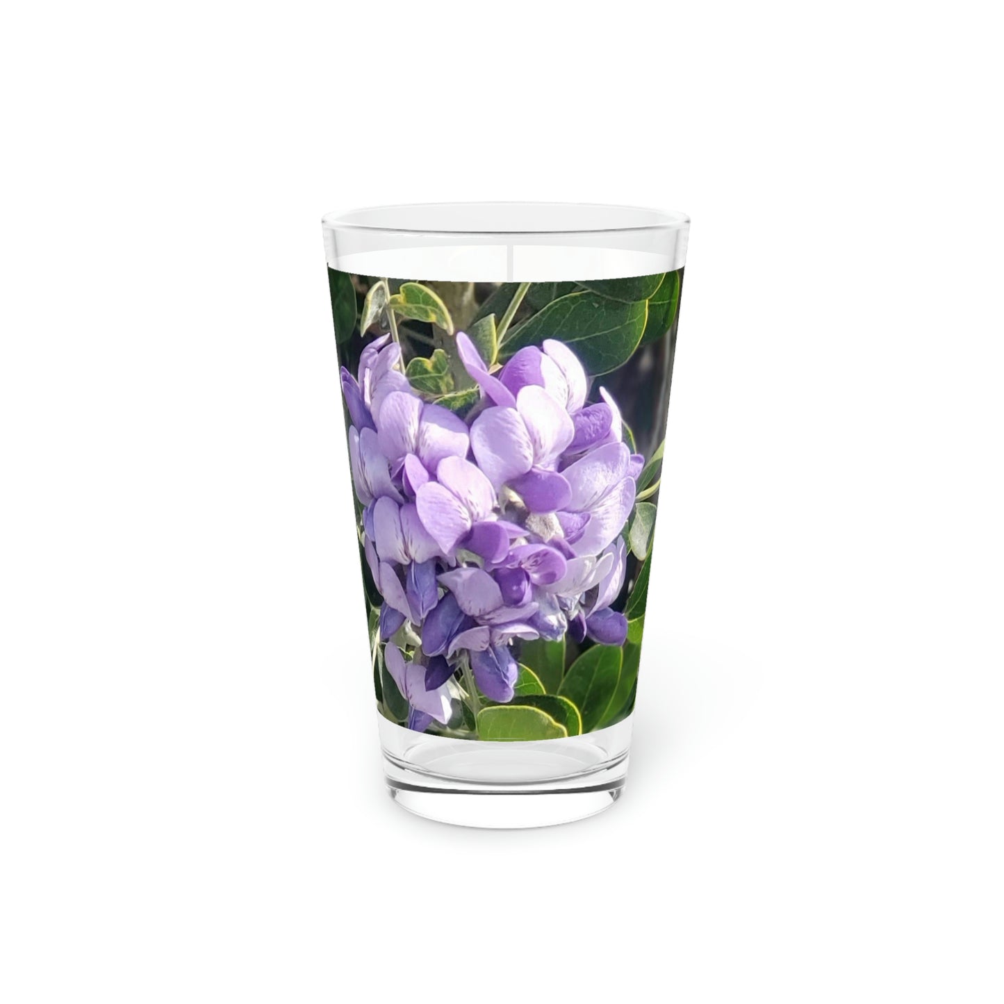 Purple Texas Mountain Laurel | Pint Glass 16 oz