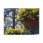 Yellow Pansies Downtown | Wall Art Canvas | High Bloom Collection | Life By Ortavia