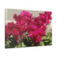 Magenta Snapdragon | Wall Art Canvas | High Bloom Collection | Life By Ortavia