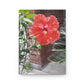 Peach Hibiscus Flower | Hardcover Matte Journal | High Bloom Collection | Life By Ortavia