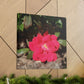 Knockout | Wall Art Print | High Bloom Collection | Life By Ortavia