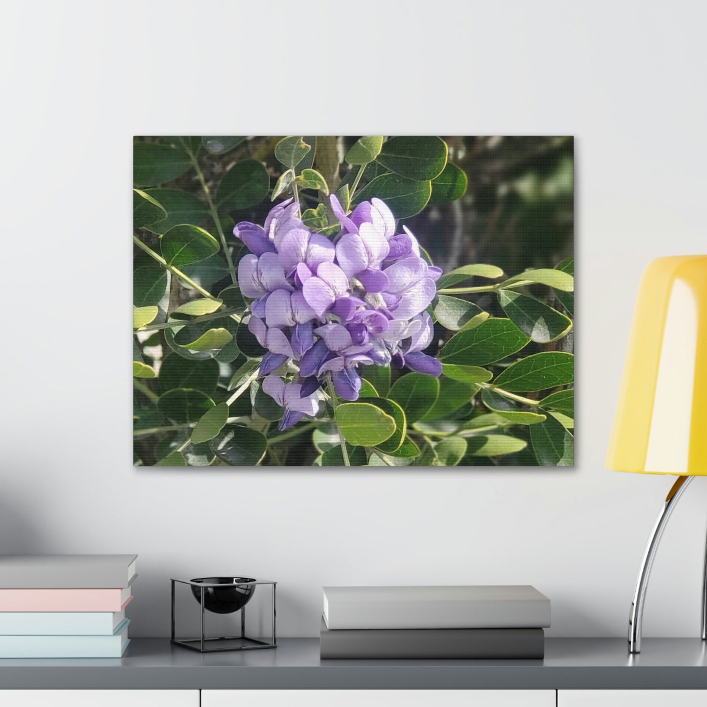 Purple Texas Mountain Laurel | Wall Art Canvas