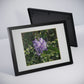 Framed Posters, Black